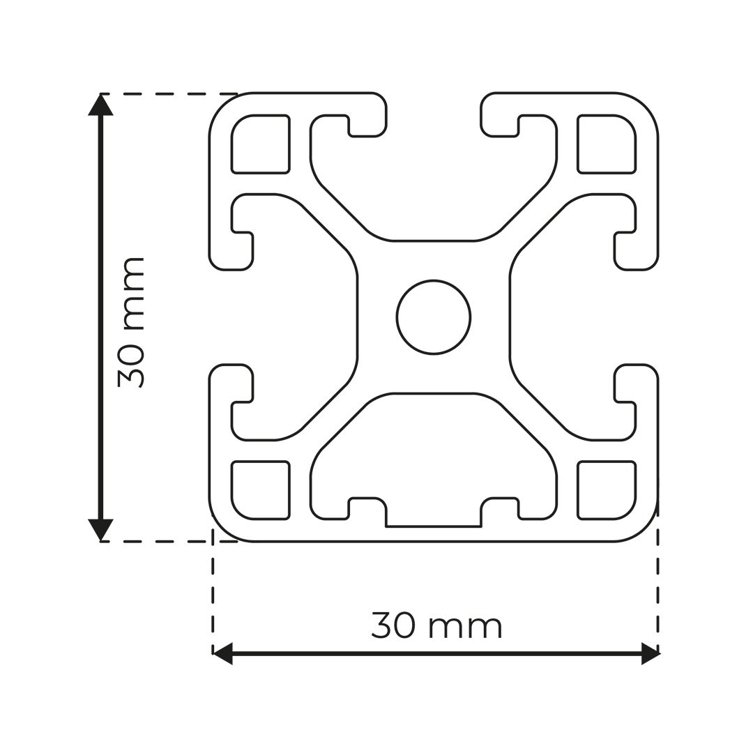 RP3110 aluminium profile 6 30x30 Light 1N