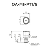 Straight Adapter OA-M6-PT1/8