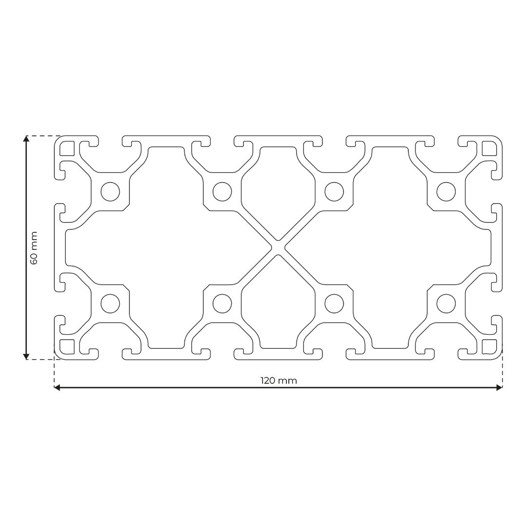 RP3100 aluminium profile 6 120x60 Light